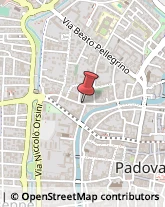 Via dei Savonarola, 151,35137Padova