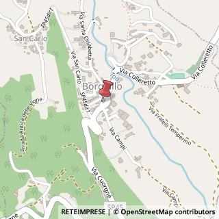 Mappa Via Pinerolo, 50, 10080 Borgiallo, Torino (Piemonte)