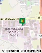 Via Rame, 14,06134Perugia