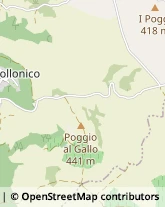 Località Bivio dell'Asso, ,53024Montalcino