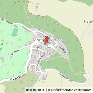 Mappa Via Vittorio Veneto, 37, 53049 Torrita di Siena, Siena (Toscana)