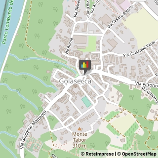 Alimentari Golasecca,21010Varese