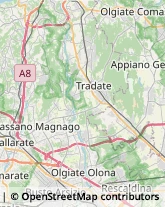 Autotrasporti Gorla Maggiore,21050Varese