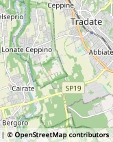 Autotrasporti Tradate,21049Varese