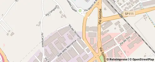 Mappa Thiene