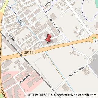 Mappa Via San Massimiliano Kolbe, 33, 36016 Thiene, Vicenza (Veneto)