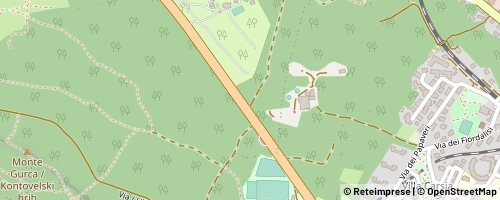 Mappa Trieste