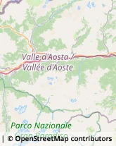 Naturopatia Aosta,11100Aosta