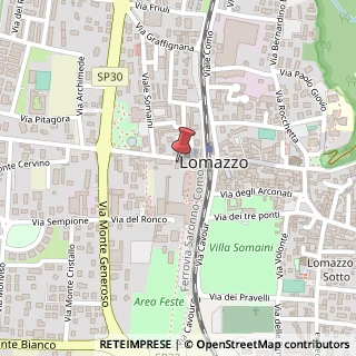 Mappa Viale Trento, 7, 22074 Lomazzo, Como (Lombardia)