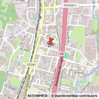 Mappa Via L. Cadorna, 21044 Cavaria con Premezzo, Varese (Lombardia)