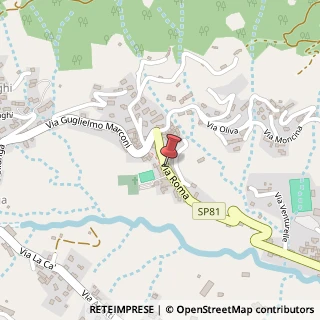 Mappa Via Roma, 37, 24060 Foresto Sparso, Bergamo (Lombardia)