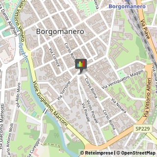 Piante e Fiori - Ingrosso Borgomanero,28021Novara