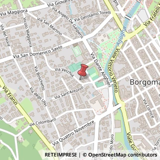 Mappa Via Vecchia, 3, 28021 Borgomanero, Novara (Piemonte)