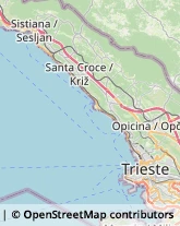 Spedizioni Marittime, Aeree e Terrestri Muggia,34015Trieste