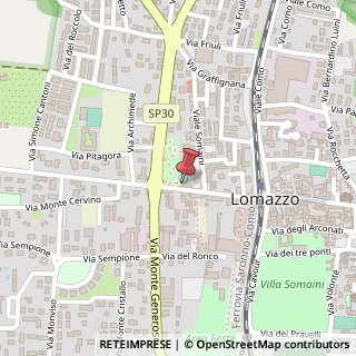 Mappa Viale Trento, 12, 22074 Lomazzo, Como (Lombardia)