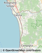 Assicurazioni Cecina,57023Livorno