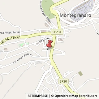 Mappa Via XX Settembre, 41, 63812 Montegranaro, Fermo (Marche)