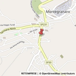 Mappa Via Fermana Sud,  41, 63014 Montegranaro, Fermo (Marche)