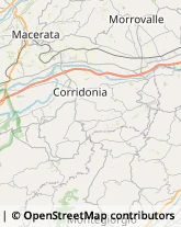 Trasportatori Meccanici Macerata,62100Macerata