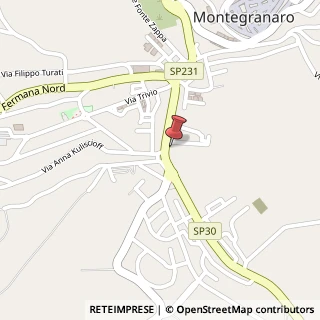 Mappa Via Fermana Sud, 67, 63812 Montegranaro, Fermo (Marche)