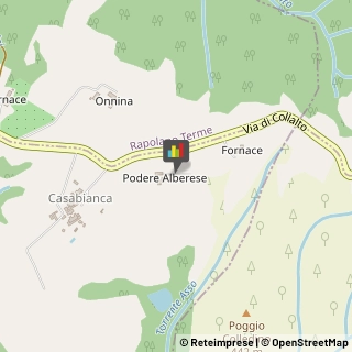 Aziende Agricole Asciano,53041Siena