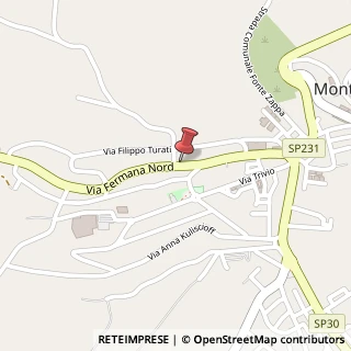 Mappa Via Fermana Nord, 52, 63812 Montegranaro, Fermo (Marche)