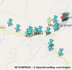 Mappa Via Fermana Nord, 63812 Montegranaro FM, Italia (0.532)