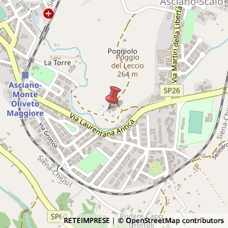 Mappa Via Lauretana Antica, 37A, 53041 Asciano, Siena (Toscana)