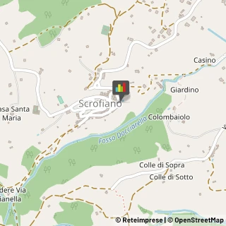 Giardinaggio - Servizio,53048Siena