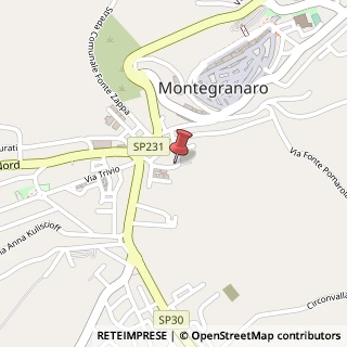 Mappa Via bernini 3, 63014 Montegranaro, Fermo (Marche)
