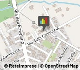 Bar, Ristoranti e Alberghi - Forniture,00042Roma