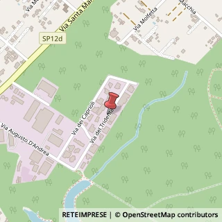 Mappa Via del Tridente, 36, 00048 Nettuno, Roma (Lazio)