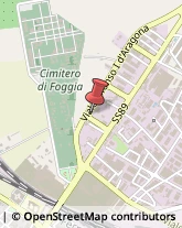 Via Nicola De Dominicis, 1,71122Foggia