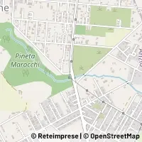 Kart Anzio