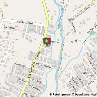 Bed e Breakfast Nettuno,00048Roma