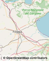 Giornalai Carapelle,71041Foggia