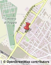 Via Manfredonia, 50,7100Foggia