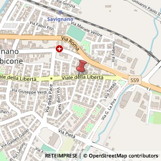 Mappa Via della Libertà,  101, 47039 Savignano sul Rubicone, Forlì-Cesena (Emilia Romagna)