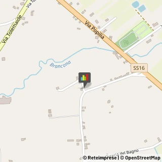 Frutta e Verdura - Dettaglio,47922Rimini