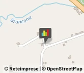 Frutta e Verdura - Dettaglio Rimini,47922Rimini