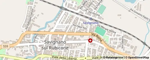Mappa Savignano sul Rubicone
