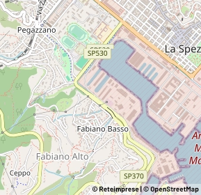 Mappa Viale fieschi, 19123 La Spezia SP, Italia (0.20769)