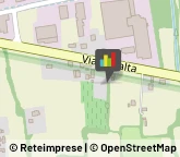 Vivai Piante e Fiori Riese Pio X,31039Treviso