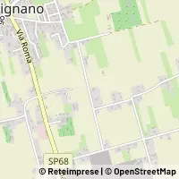 Kart Trevignano