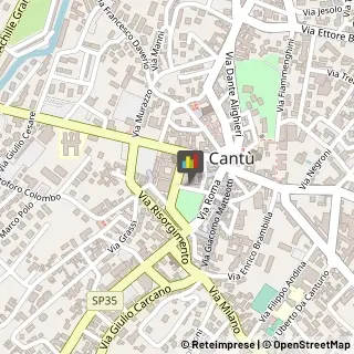 Internet - Provider Cantù,22063Como