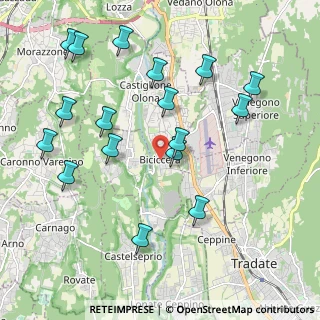 Mappa Via dei Platani, 21043 Castiglione Olona VA, Italia (2.20765)