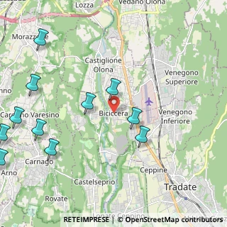 Mappa Via dei Platani, 21043 Castiglione Olona VA, Italia (2.75636)