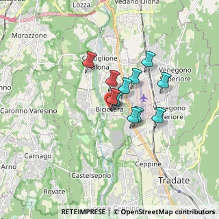Mappa Via dei Platani, 21043 Castiglione Olona VA, Italia (1.13727)