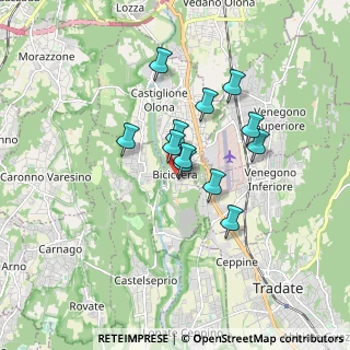 Mappa Via dei Platani, 21043 Castiglione Olona VA, Italia (1.2675)