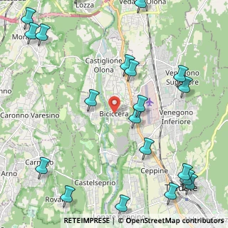 Mappa Via dei Platani, 21043 Castiglione Olona VA, Italia (3.0245)